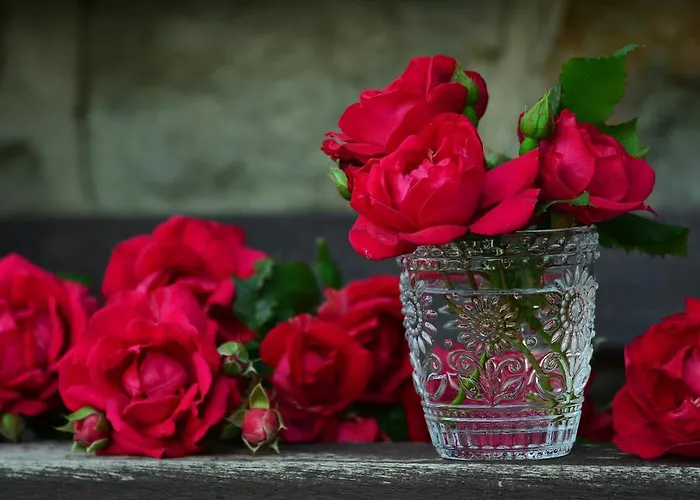 Barcelonnette Ubaye, Provence Apartamento *