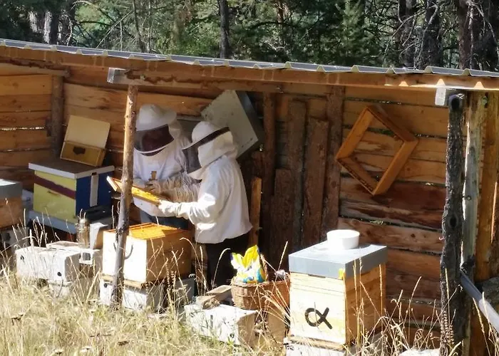 Barcelonnette Ubaye, Provence *